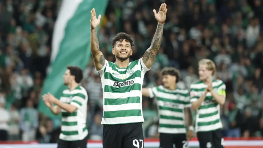 Leão encerra a época com milhões de lucro
