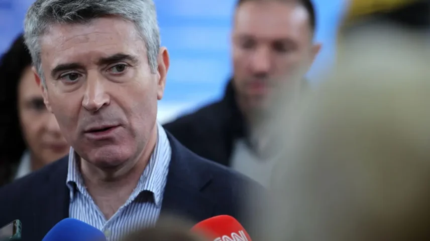 José Luís Carneiro, líder do PS