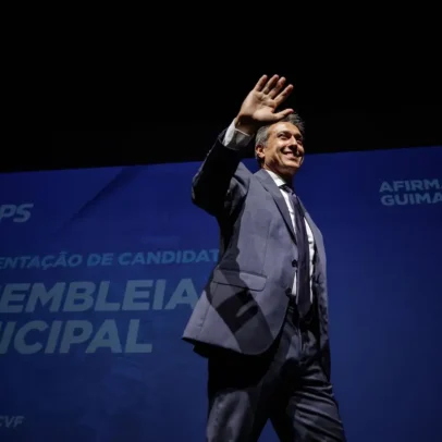 Vereador do PS nega ter mentido sobre terreno para plantar canábis