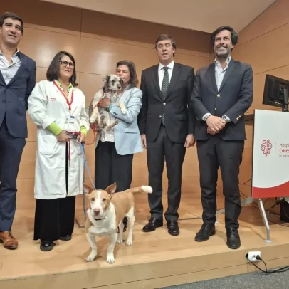 Hospital de Cascais vai ter cães treinados para apoiar doentes