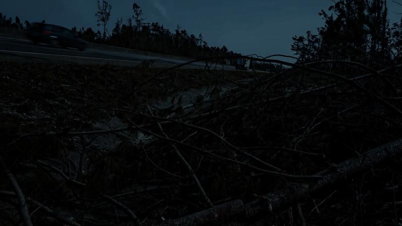 Brisa já removeu 50 mil árvores das autoestradas da região afetada pelas tempestades