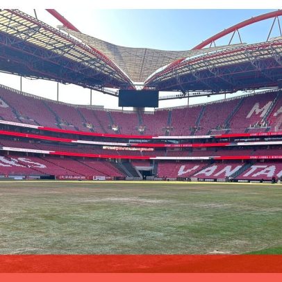 Relvado do Estádio da Luz fica danificado após concertos de Bad Bunny