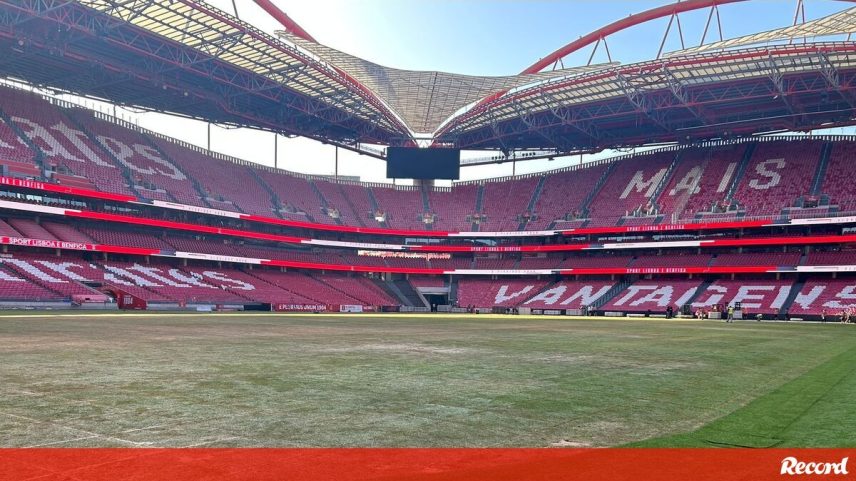 Relvado do Estádio da Luz depois dos concertos de Bad Bunny