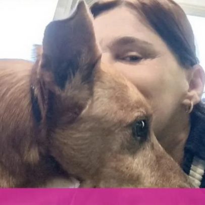 Rita Salema vive drama com cão adotado que vomitou sangue e está internado