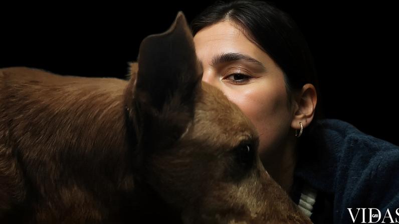 Rita Salema acompanha recuperação de Baguette, cão adotado, após internamento.