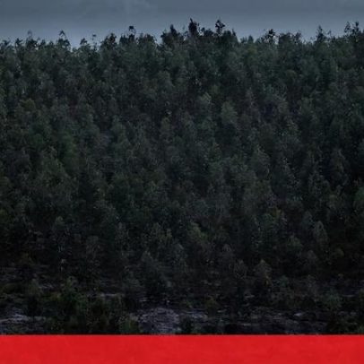Execução da gestão de paisagens avança a diferentes velocidades