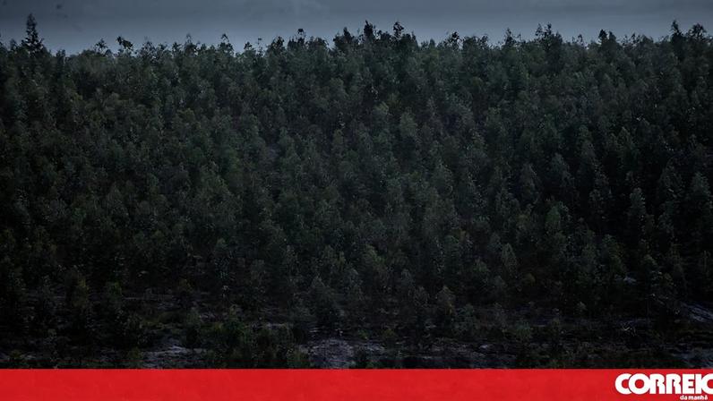 Execução da gestão de paisagens avança a diferentes velocidades