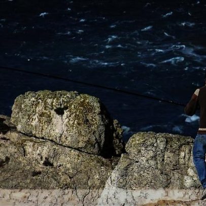 A pesca da sardinha reabre hoje após quase cinco meses de encerramento