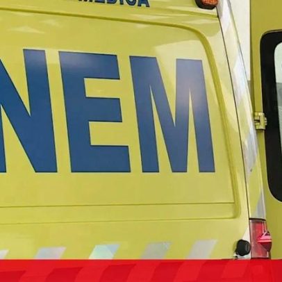 Homem e cão morrem atropelados em Leça da Palmeira, motorista foge