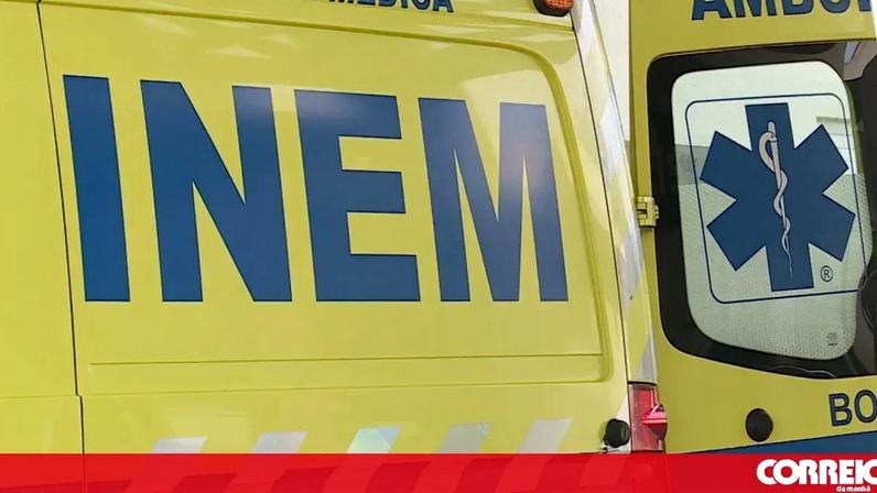 Homem e cão morrem atropelados em Leça da Palmeira, motorista foge