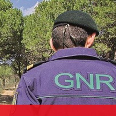 Homem de 51 anos morre após despiste de bicicleta em Marvão