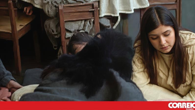 Ex-funcionárias de creche em Rabo de Peixe condenadas por maus-tratos