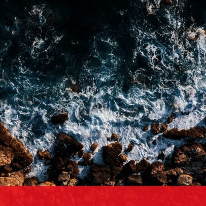 Federação nega intervenção de pescadores na morte de tubarão em Rabo de Peixe