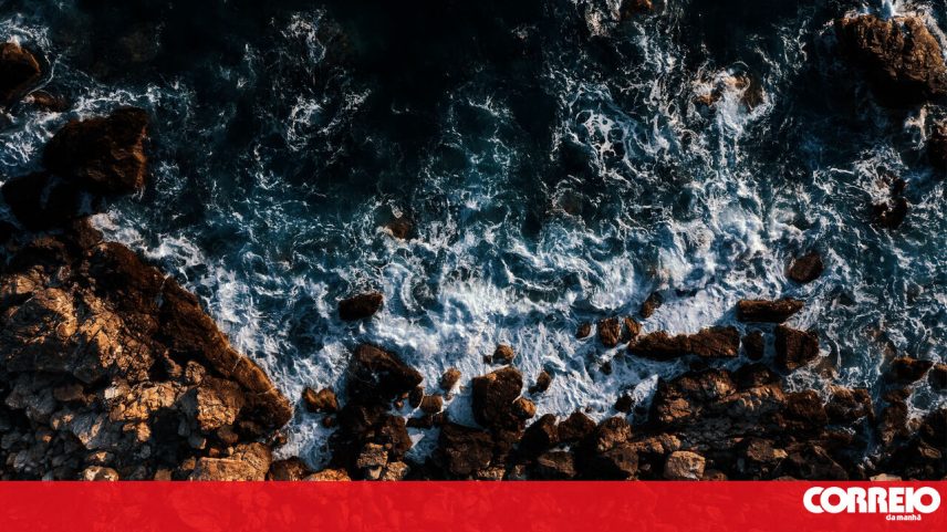 Federação das Pescas dos Açores considera "incorreta e irresponsável a associação destes comportamentos à classe piscatória"