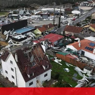 Fotografar limpeza de terrenos atingidos pela tempestade Kristin rende 1500 €/ha