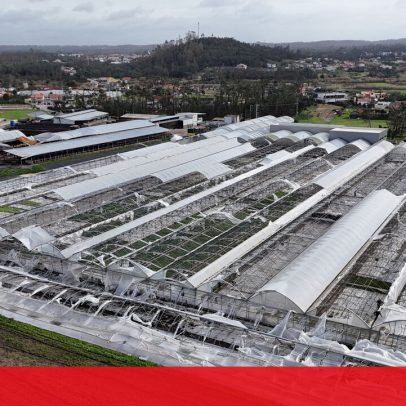 Empresas afetadas pelo mau tempo devem solicitar adiantamentos às seguradoras