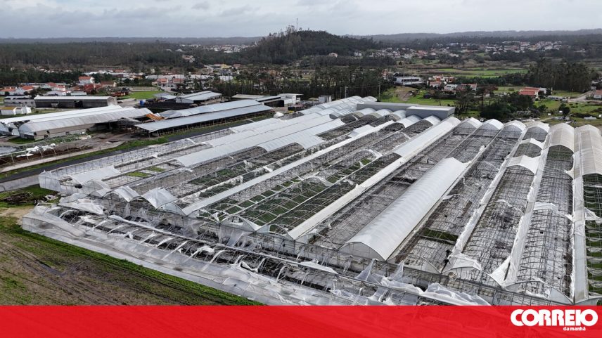 Mau tempo causa prejuízos de 600 milhões; estufas destruídas na zona do Mondego
