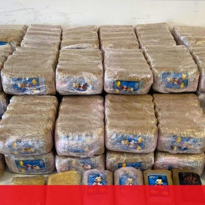 Despiste no Montijo resulta em apreensão de 30 kg de haxixe