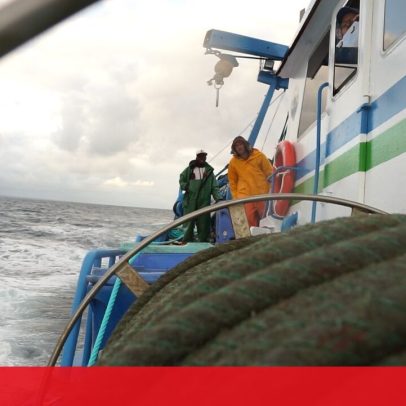 Pesca da sardinha reabre sem peixe na Figueira da Foz