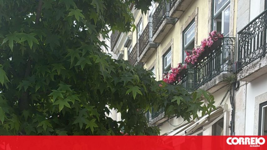 Vários feridos em despiste de autocarro de turismo em Lisboa e colisão com loja