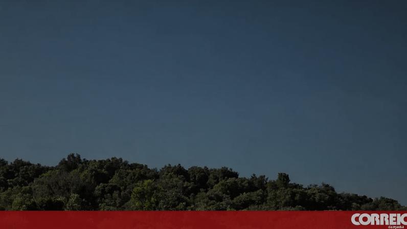 Carro abalroado por comboio em Portimão deixa cinco feridos