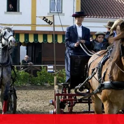 Expoégua inicia quinta em Golegã com provas equestres, gastronomia e vinho