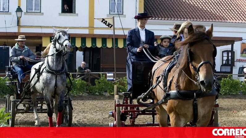 Expoégua inicia quinta em Golegã com provas equestres, gastronomia e vinho