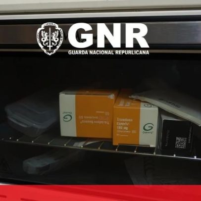 GNR encerra lar ilegal em Palmela