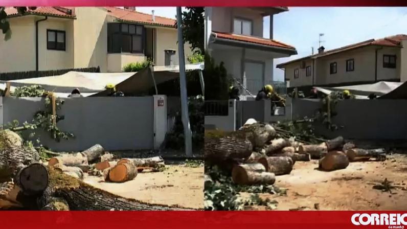 Vento forte danifica carros e alarma populações em Viseu