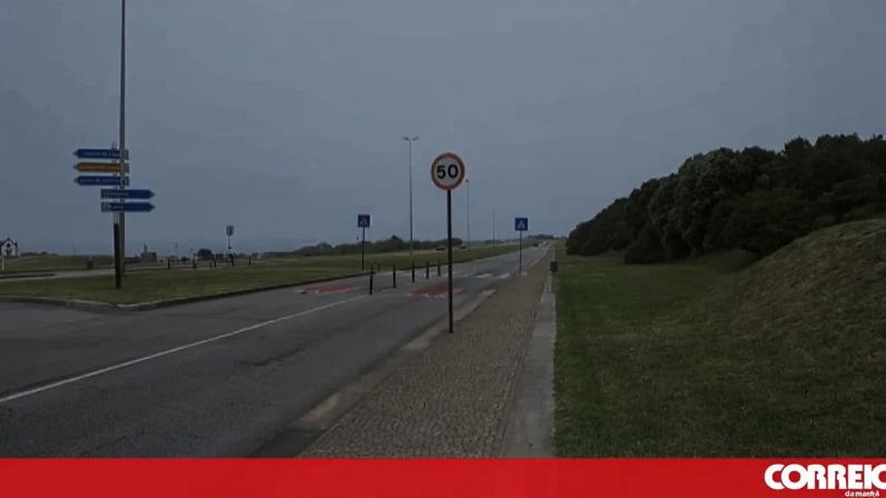 Homem e cão morrem atropelados por carro em Leça da Palmeira. Condutor fugiu