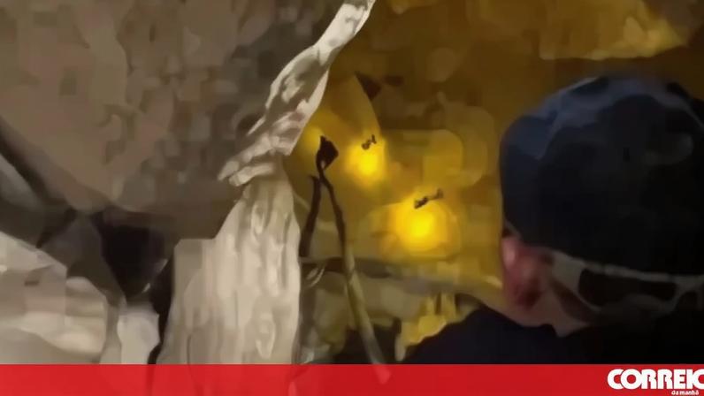 Cinco dos sete encontrados vivos numa gruta em Laos