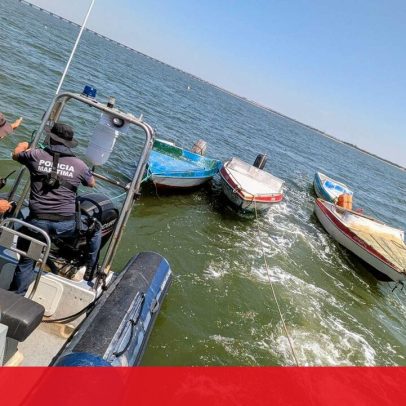 Cinco embarcações apreendidas no Tejo em operação contra apanha ilegal de amêijoa-japonesa