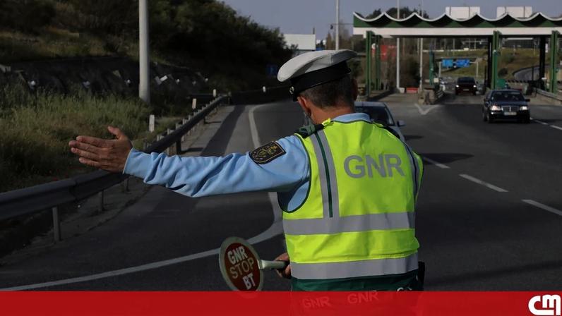 Camionista sem carta de condução nem tacógrafo