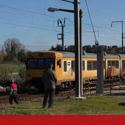 Cobrança de 26 mil euros a pastores por atropelamento de rebanho