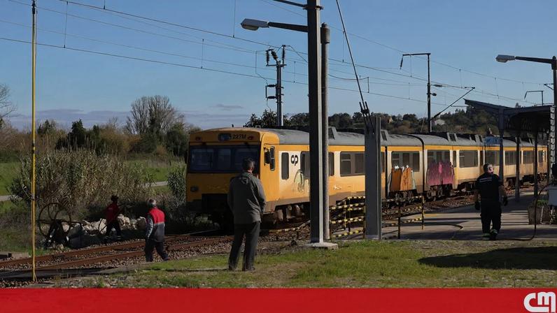 Cobrança de 26 mil euros a pastores por atropelamento de rebanho