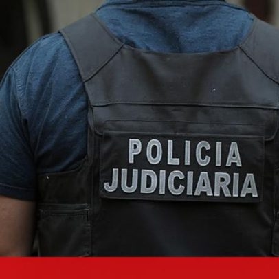 Suspeito de dois incêndios florestais na Figueira da Foz detido pela PJ