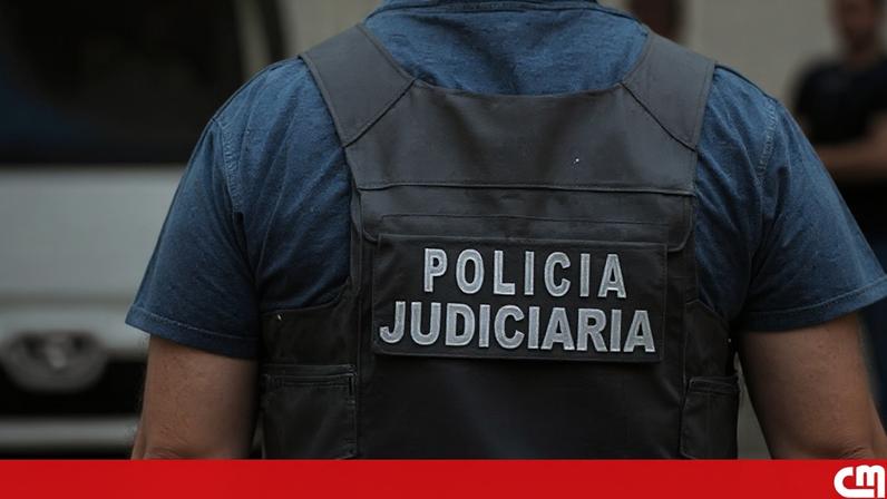 Suspeito de dois incêndios florestais na Figueira da Foz foi detido pela PJ