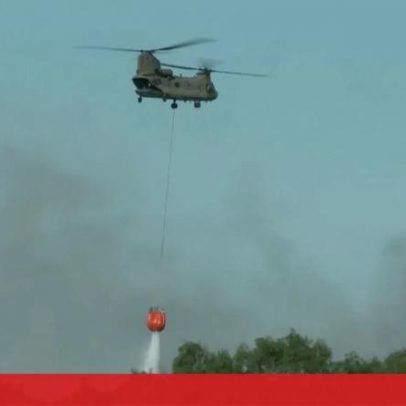 Várias zonas nos Países Baixos atingidas por incêndios florestais