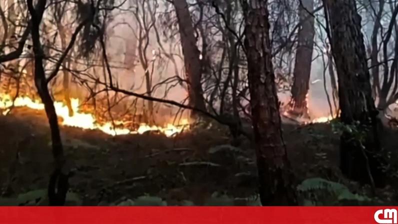 Moradores evacuados de casas devido a incêndios florestais na Itália