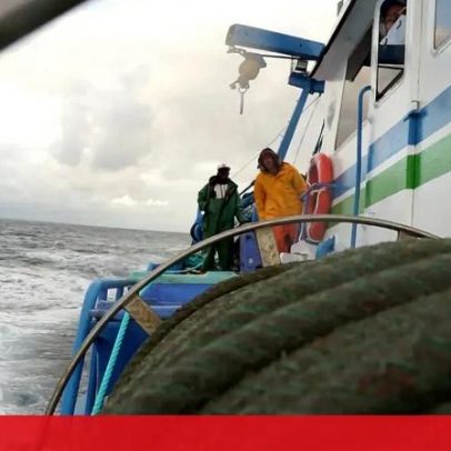 Pesca da sardinha na Figueira da Foz reabre sem peixe na primeira safra