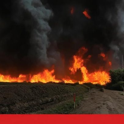 Incêndio florestal no Arizona consome quase 400 hectares