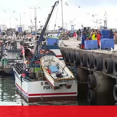 Pescador diz que o segundo dia da reabertura da pesca da sardinha começou mal