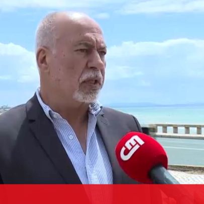 Origem da tinta azul que contaminou ribeira junto a Carcavelos apurada