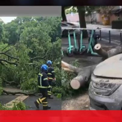 Árvore cai e danifica três veículos no centro de Lisboa