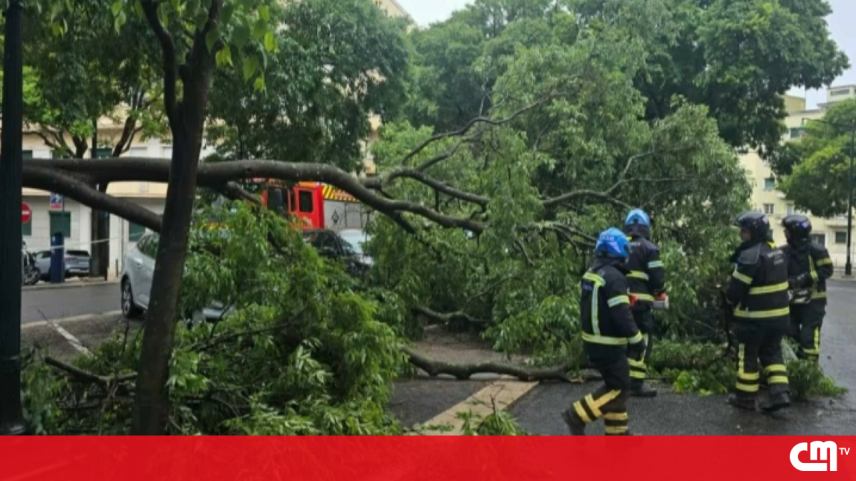 Chuva, vento forte, trovoada e granizo causam estragos em Lisboa