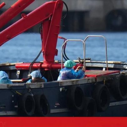 França confirma primeiro caso de hantavírus no país