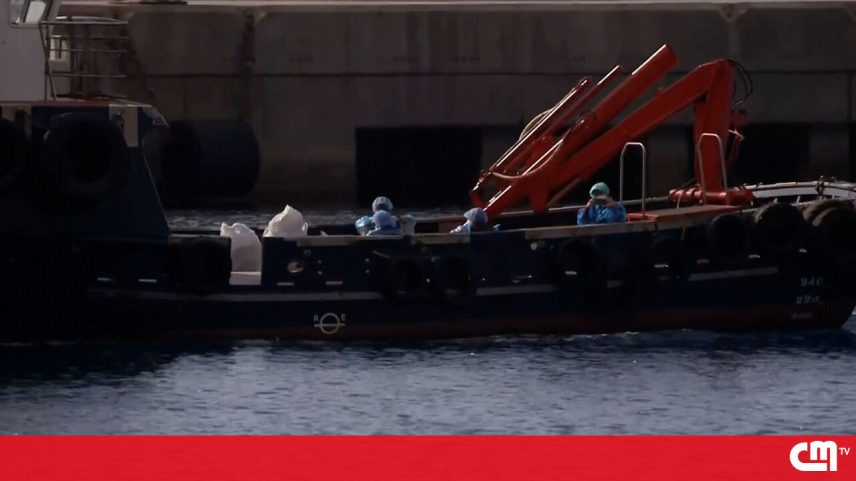 Passageiros começam a deixar navio afetado por surto de hantavírus em Tenerife