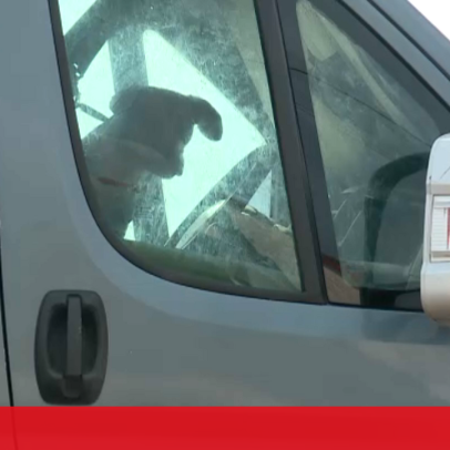 Carrinha com 20 cães há semanas em Santa Cruz preocupa moradores