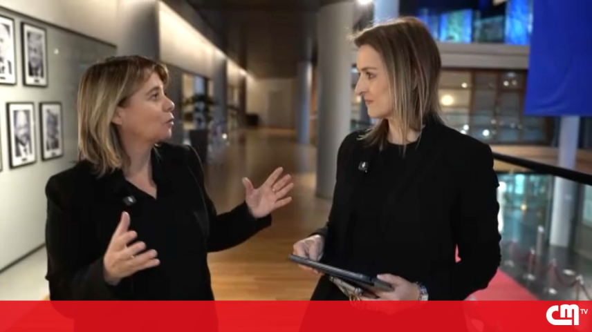 Catarina Martins: eurodeputada em Bruxelas há um ano e meio