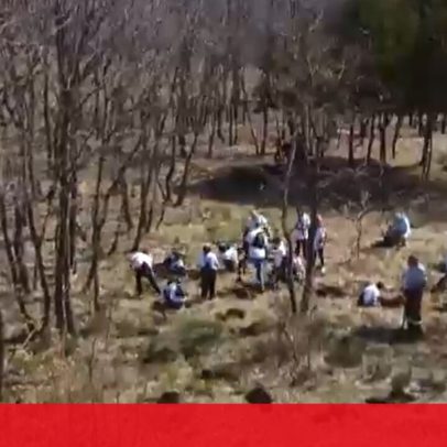 Iniciativa para recuperar o parque natural da Serra da Estrela